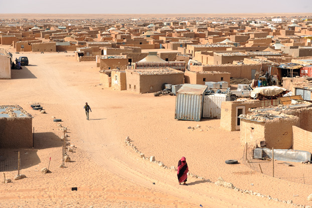 مستشار برلماني : من يوجدون بمخيمات جنوب الجزائر لا يمثلون ساكنة الجنوب المغربي