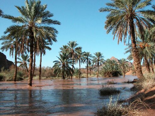 السلطات الجزائرية تسرق المياه المغربية