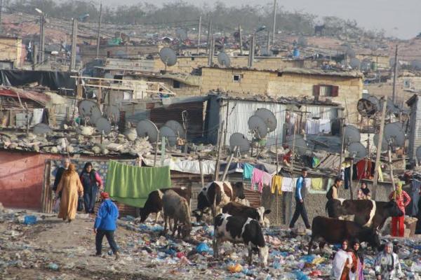 فضيحة..برلماني يتحدث عن تورط مسؤولين في تفريخ “البراريك”