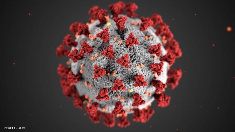 دراسة جديدة تكشف “سر” التحور المتجدد في فيروس كورونا