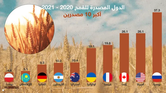 بعد الأزمة العالمية.. تعرف على أكبر الدول المصدرة للقمح في العالم