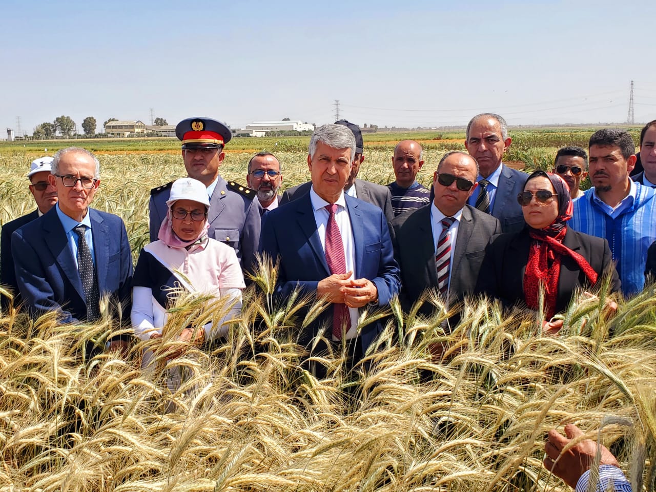 الخميسات.. وزير الفلاحة يطلع على أصناف جديدة من الحبوب تسير بالمغرب نحو تحقيق السيادة الغذائية