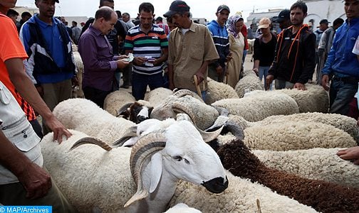 عيد الأضحى.. نفقات الأسر تقدر بأكثر من 18 مليار درهم (مختصرات المندوبية السامية للتخطيط)