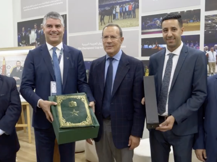 معرض الفرس 2025 في فيرونا: المغرب ضيف شرف بمشاركة استثنائية
