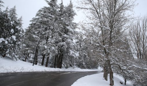 تساقطات ثلجية وأمطار قوية أحيانا رعدية مرتقبة اليوم السبت وغدا الأحد بعدد من مناطق المملكة (نشرة إنذارية)
