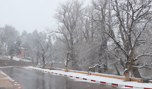 تساقطات ثلجية وأمطار قوية أحيانا رعدية وطقس بارد من اليوم الجمعة إلى الاثنين المقبل بعدد من مناطق المملكة (نشرة إنذارية)