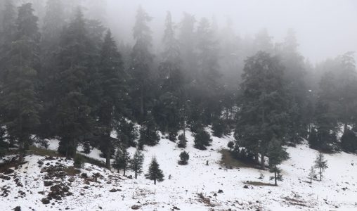 رياح قوية وأمطار جد قوية وتساقطات ثلجية يومي الجمعة والسبت بعدد من مناطق المملكة (نشرة إنذارية)