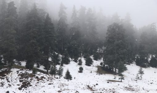 تساقطات ثلجية وزخات مطرية وموجة برد ورياح قوية من السبت إلى الثلاثاء بعدد من مناطق المملكة (نشرة إنذارية)