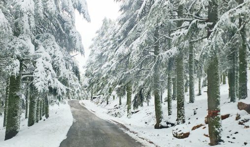 تساقطات ثلجية وزخات رعدية ورياح عاصفية قوية وطقس بارد من الاثنين إلى الخميس بعدد من مناطق المملكة (نشرة إنذارية)