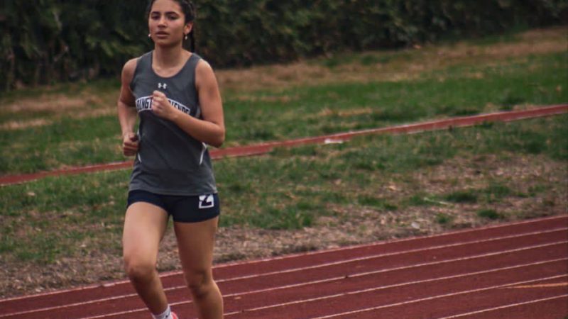 ياسمين الورديغي جوهرة مغربية في ألعاب القوى تسطع في الولايات المتحدة الأمريكية