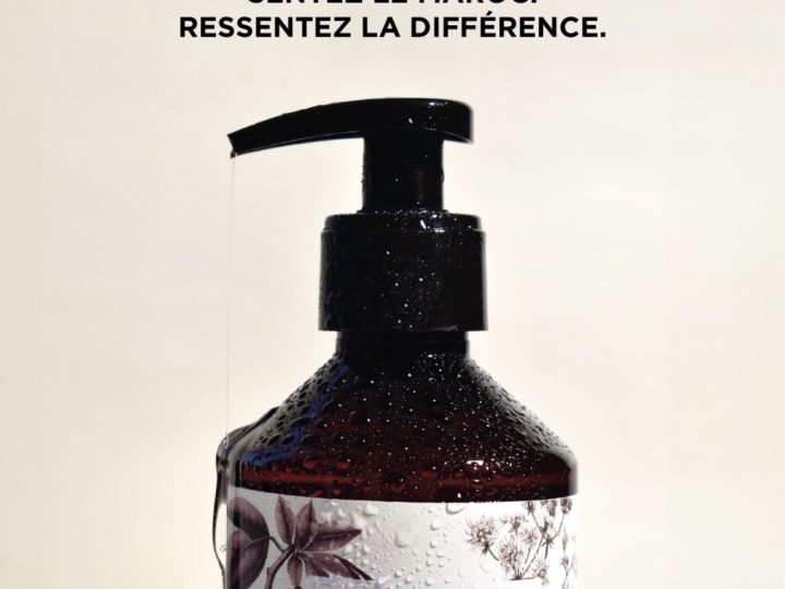 Le Botaniste: حين تعيد التقاليد النباتية المغربية ابتكار تجربة الضيافة الفندقية