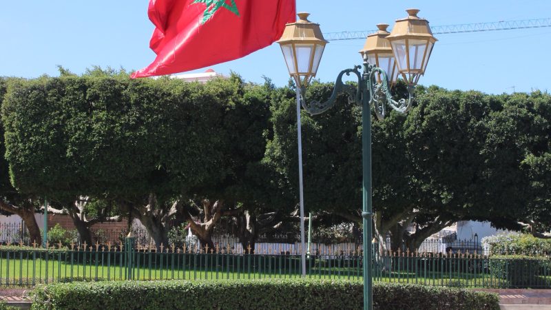 التعاون في مجال الهجرة.. إعادة القاصرين غير المرفوقين مسألة مبدأ قائمة على التعليمات الملكية السامية (مصدر دبلوماسي)