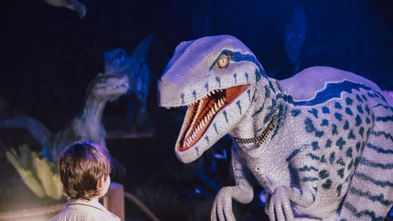 مع العودة إلى المدارس، Dinos Alive تأخذ الأطفال في رحلة إلى عصور ما قبل التاريخ