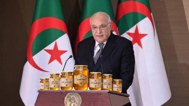   “دبلوماسية العسل».. هفوة بروتوكولية لوزير الخارجية الجزائري تثير سخرية واسعة وجدلا رقميا منقطع النظير